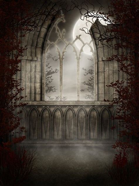 Papier Peint Gothique Halloween Backdrop Night Scenery Gothic Windows