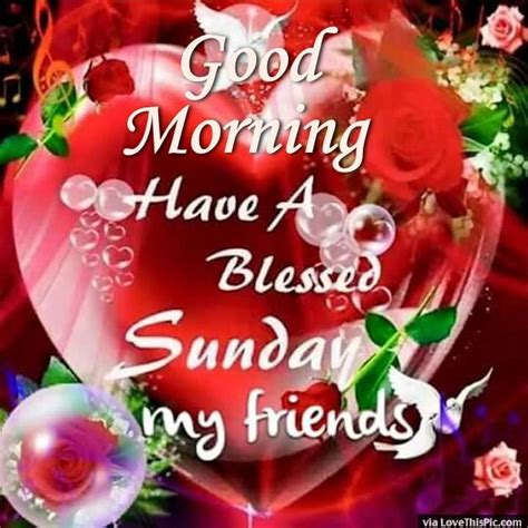 Good Morning Have A Blessed Sunday My Friends Pictures