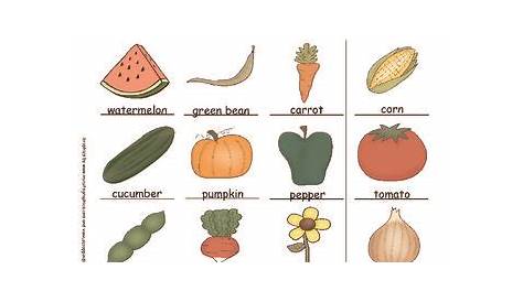 Plants- Make a Seed Identification Chart | Seeds, Science literacy, Plants