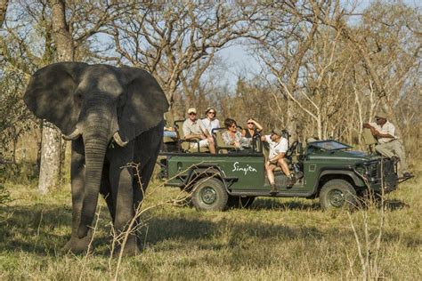 Best South African Safari Tours Cape Town To Kruger And More Go2africa