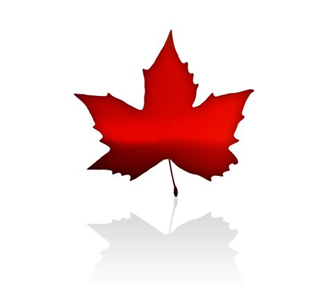 Free Clipart Maple Leaf Canada