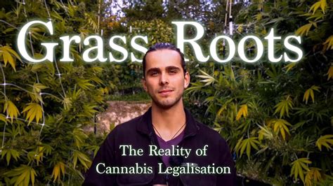 Grass Roots The Reality Of Cannabis Legalisation Youtube