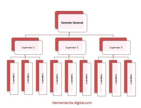 Organigrama Template Word