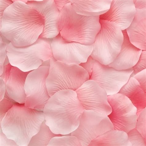 Light Pink Rose Petals Rose Petals For Sale Flower Explosion