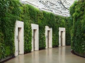 Indoor Green Wall With Awesome Long Leaved Grass And Lots Of Different