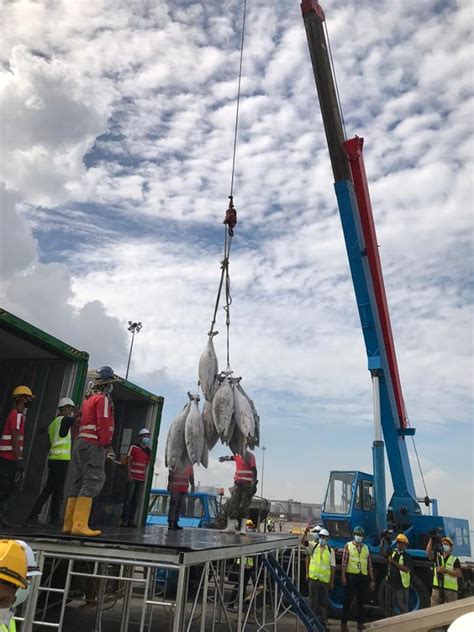 Sebelum ini, suruhanjaya pelabuhan pulau pinang (sppp) mengumumkan bermula 1 januari depan, bot penumpang laju akan menggantikan perkhidmatan feri bagi menghubungkan penumpang antara bahagian pulau dan seberang perai. Suruhanjaya Pelabuhan Pulau Pinang - MENTERI PERTANIAN DAN ...