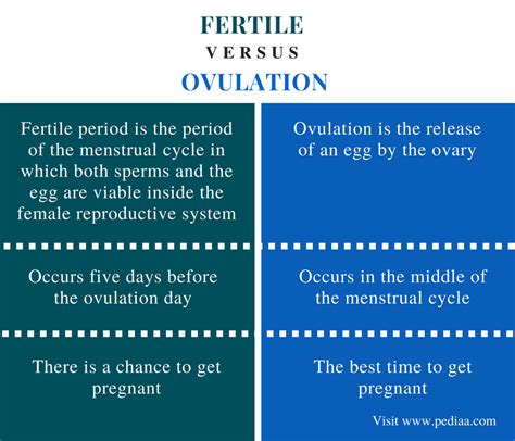 Difference Between Fertile And Ovulation Definition Periods Fertile