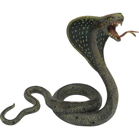 Cobra Png Transparent Image Download Size 1679x1679px