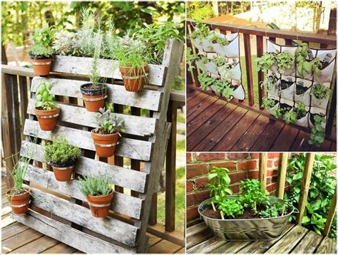 You can still grow some of your own food. Get Your Balcony a Herb Garden This Spring