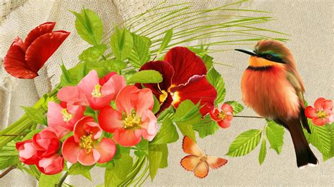 Spring Birds Flowers Wallpapers Wallpaper Cave