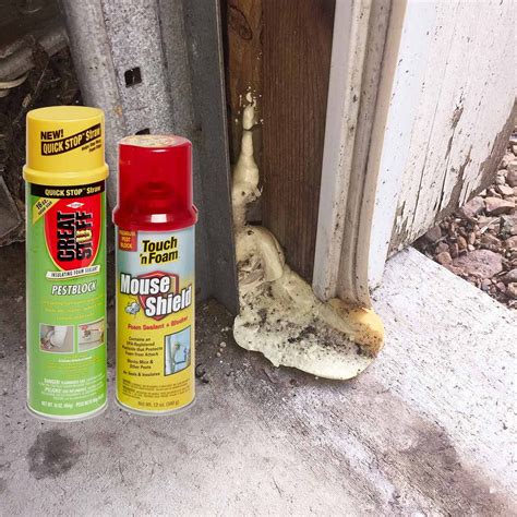 So with this website providing pest information, pest prevention tips and guidance on the best products for different. The Top 100 DIY Products of 2017 That are Still Amazing a ...