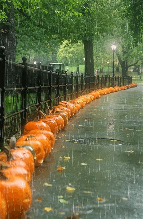 Here's 50 rainy day dates for couples that will leave you hoping the sun never shines! Rainy Day Pumpkins Pictures, Photos, and Images for ...