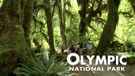 Olympic National Park 2 Minute Tour Youtube