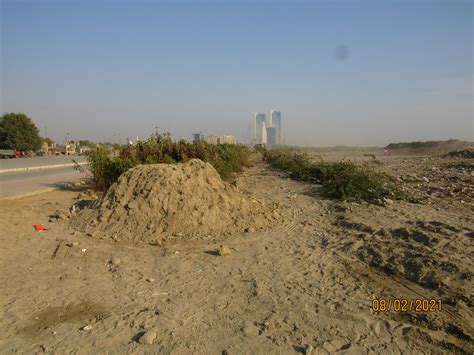 Will Urban Forests In Pakistan Have A Lasting Environmental Impact