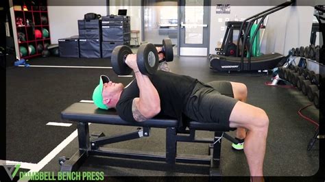 Check spelling or type a new query. Dumbbell Bench Press - YouTube