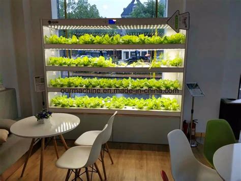 Ever wanted to take up a fun hobby that pays you as well? Vertical Aeroponics System Home Tower Gardening Indoor ...