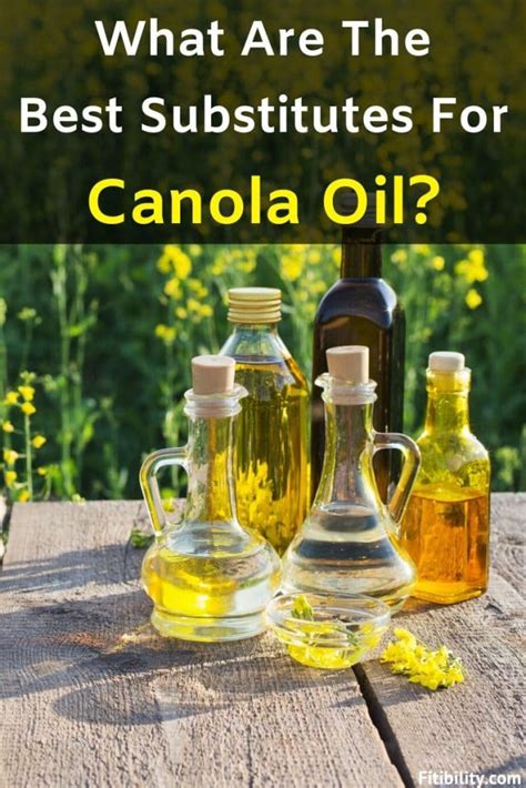 Which oil is the best for extracting cannabinoids? 5 Best Alternatives To Canola Oil For Cooking, Baking and ...