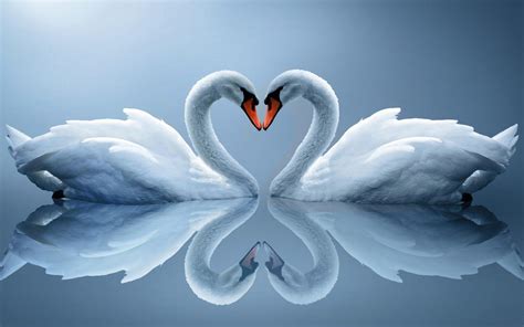 Beautiful Love Wallpapers For Desktop Full Screen Wallpaper Cave