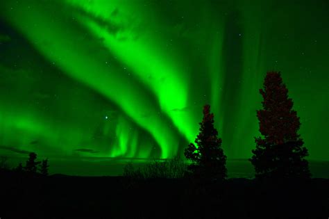 Aurora Borealis In The Sky In Yukon Territory Canada