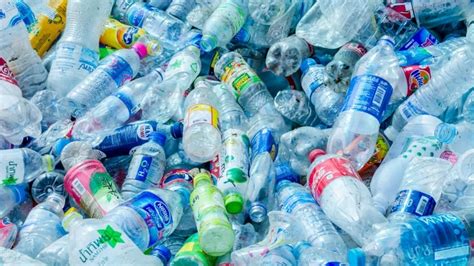 Plastic Eating Enzyme Could Help Fight Pollution Scientists Say Cbc News