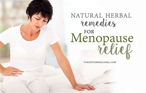 7 natural home remedies for menopause relief five spot green living