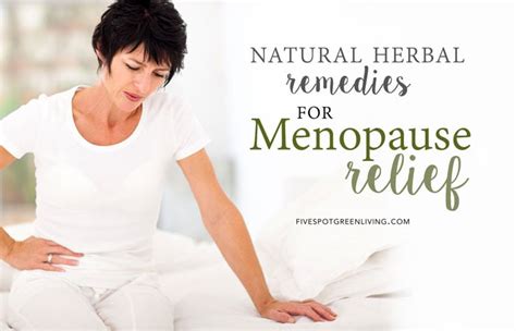 7 Natural Home Remedies For Menopause Relief Five Spot Green Living