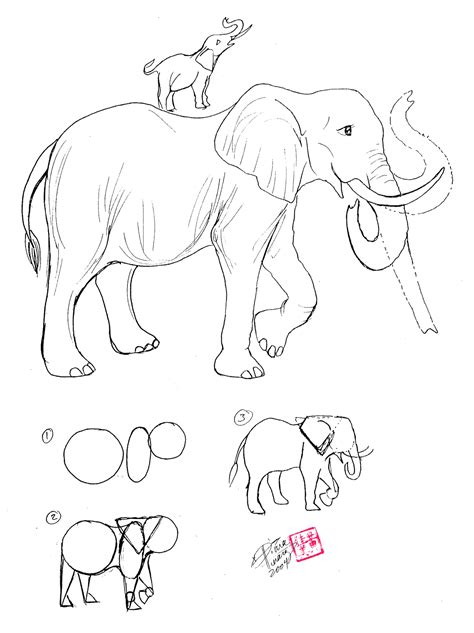 Dibujo De Elefante A Lapiz Dibujos Fáciles