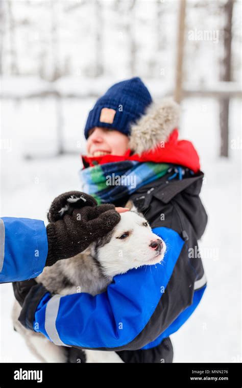 Boy Holding A Husky Puppy In Lapland Finland Stock Photo Alamy