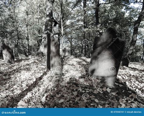 Eerie grave yard stock image. Image of eerie, yard, grave - 47594741