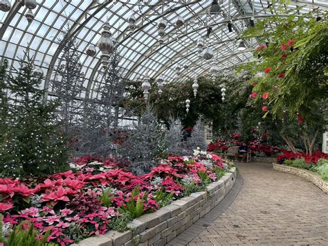 Elizabeth Matthews Fox 32 Chicago