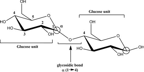 4 Maltose Structure Chemical Structure Of Maltose Download
