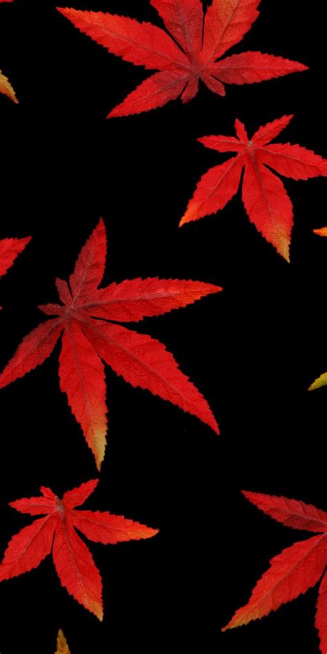 1080x2160 Autumn Leaves Abstract Wallpaper Beautiful Summer