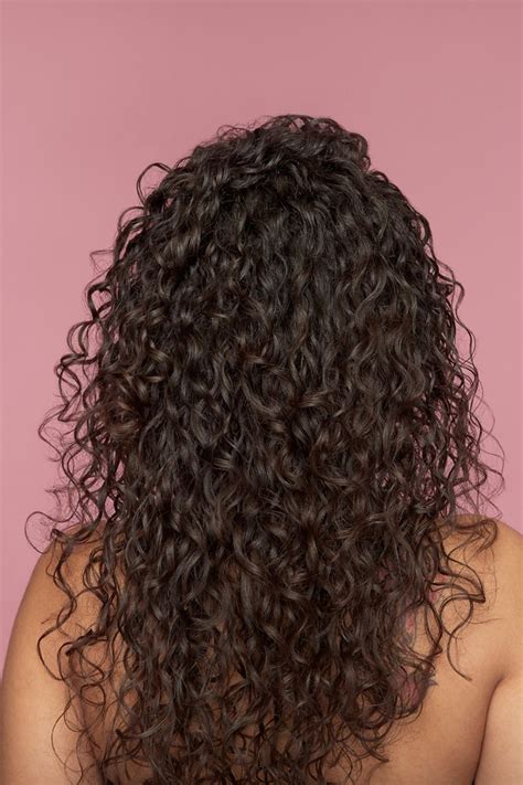 Type 2 Curly Wavy Hair Hair Hair Type Long Curly Haircuts