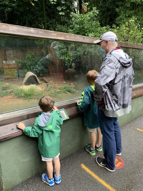 Covid Friendly Zoo Atlanta Timed Tickets And Safety Protocols In 2020