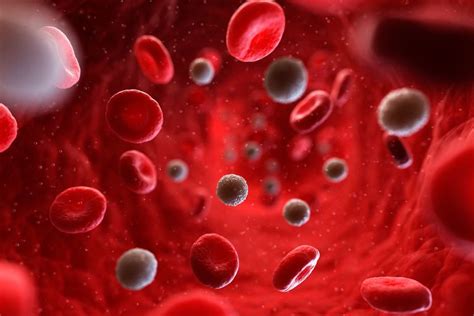 What Red Blood Cell Indices Tell You About Your Health