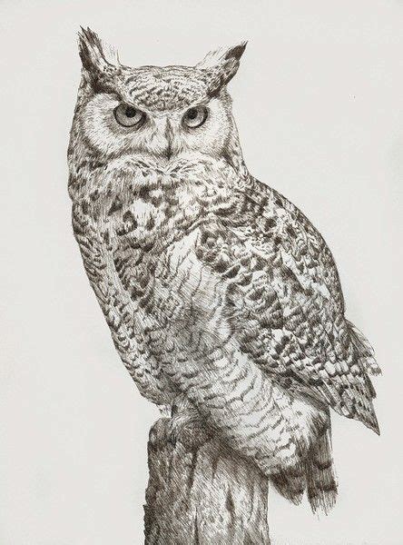 Great Horned Owl By Katrina Ann Owls Drawing Owl