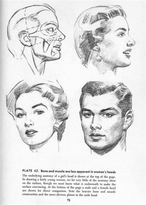 How To Draw Andrew Loomis Drawing The Head And Hands