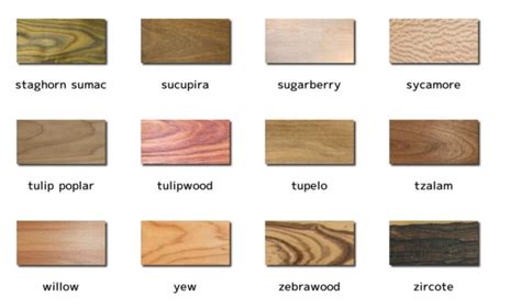 Different Wood Species For Design Modern Gear For Life