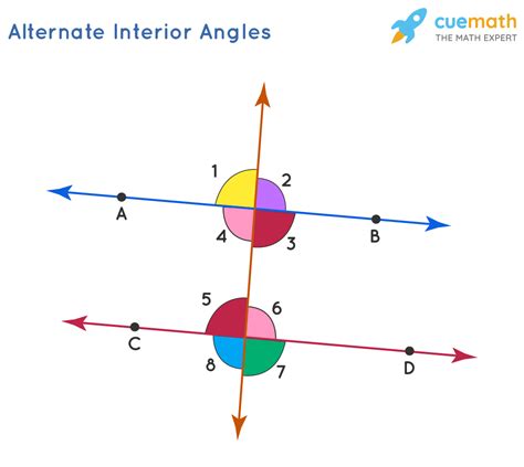 Alternate Interior Angles Definition Theorems Examples