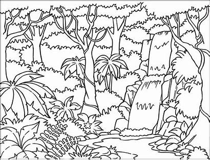 Coloring Forest Printable Adults Popular