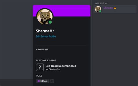 How To Set A Custom Playing Status On Discord