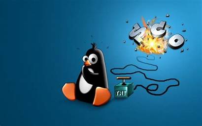 Linux Funny Wallpapers Command Wallpapersafari Anime Mint