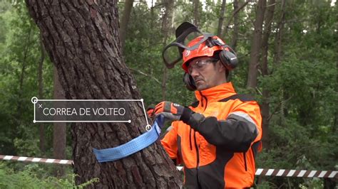 20 Trabajar Con Motosierras Tala De árboles Árboles Enganchados Vídeo