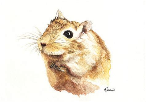 Hamsters Paintings For Sale Fine Art America