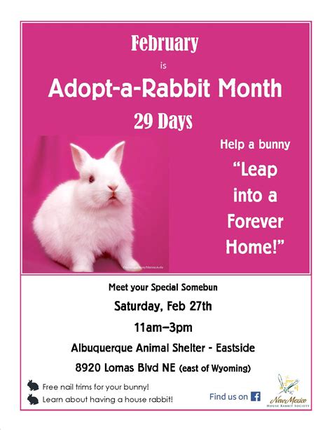 February Is Adopt A Rabbit Month New Mexico House Rabbit Society