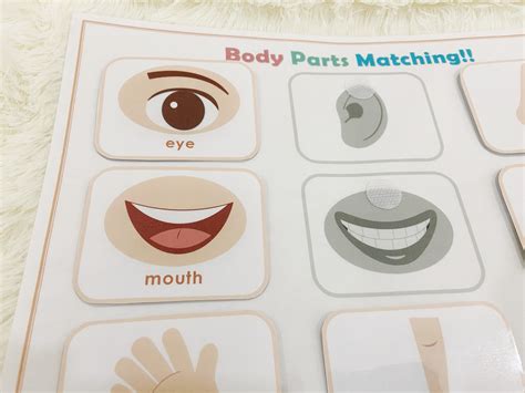 Body Parts Matching Activity Printable Toddler Busy Book Etsy