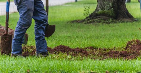 5 Questions You Need To Ask Before Hiring A Landscaper Harpoon Magazine