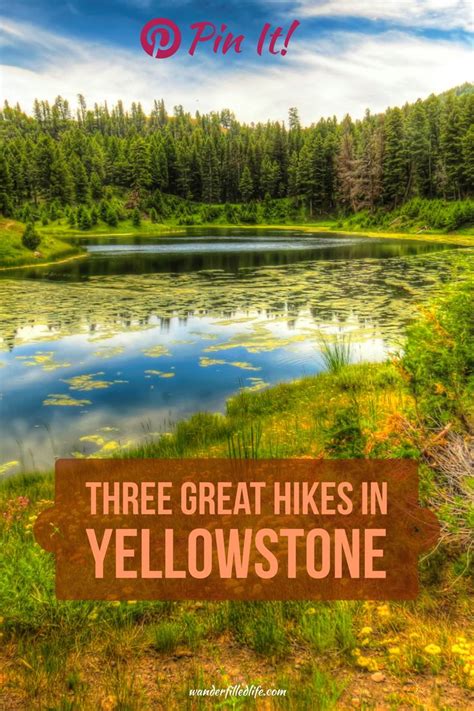 Three Yellowstone Hikes Wildlife And Wilderness Our Wander Filled