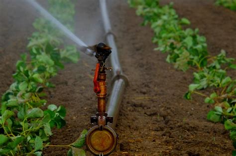 Addresses:1042 plentywood pl, henderson, nv 89002. Irrigation System - Houston Lawn Care & Tree Service