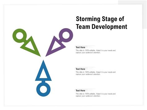 Storming Stage Of Team Development Ppt Powerpoint Presentation